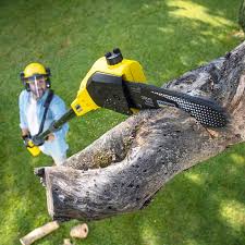 Best Soil Testing and Treatment  in Seward, AK